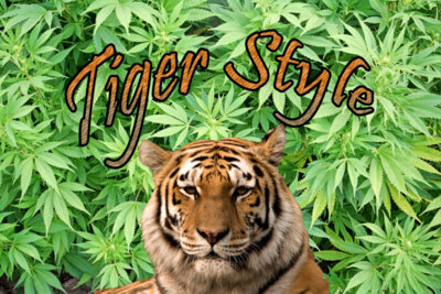 Tiger Style 